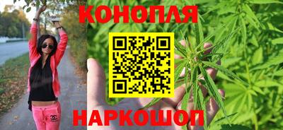 гашик Кунгур