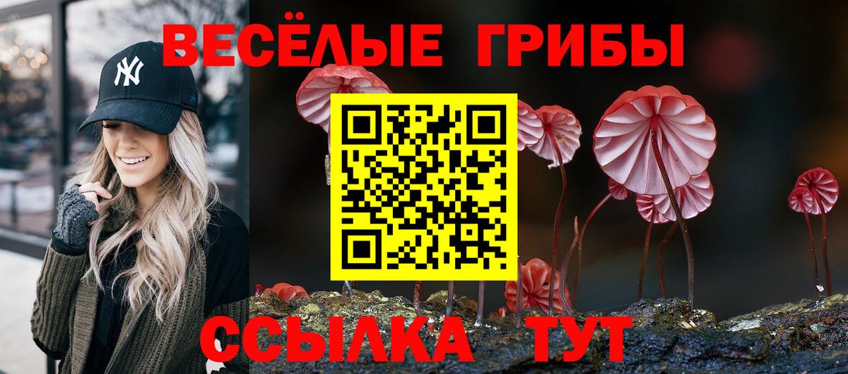 Псилоцибиновые грибы Cubensis  где найти наркотики  Жуковский  Вход с VPN 